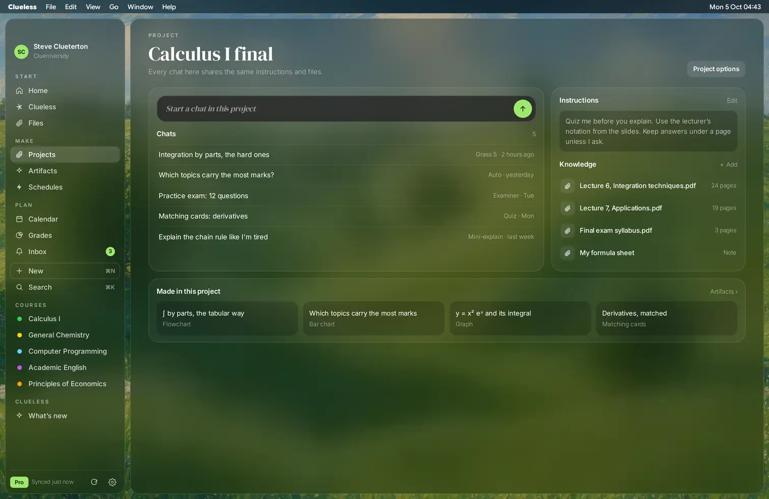 Clueless Grasslands Projects: Calculus I final, with its chats, instructions, files and artifacts
